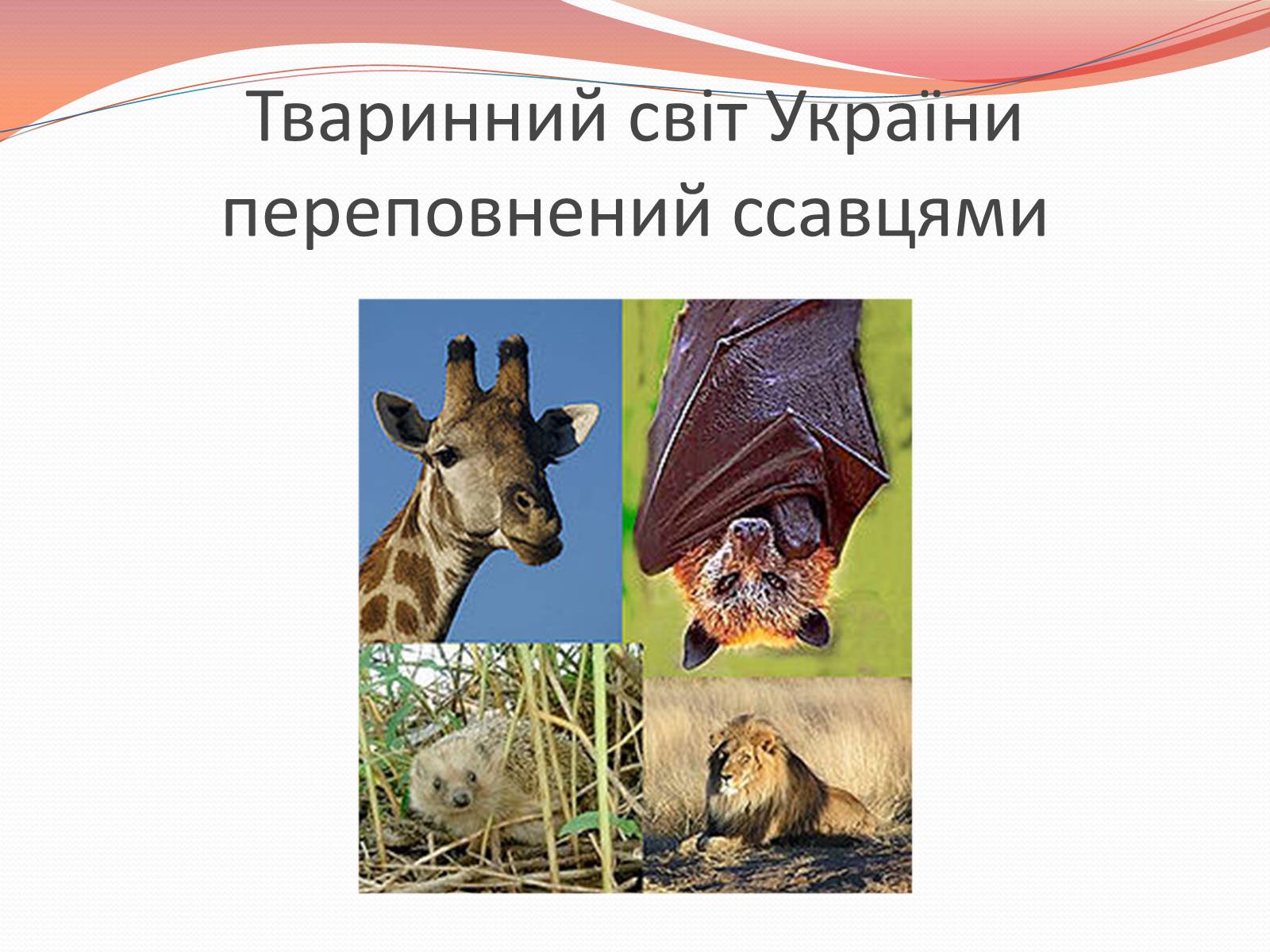 Презентація на тему «Червона книга України» (варіант 10) - Слайд #2