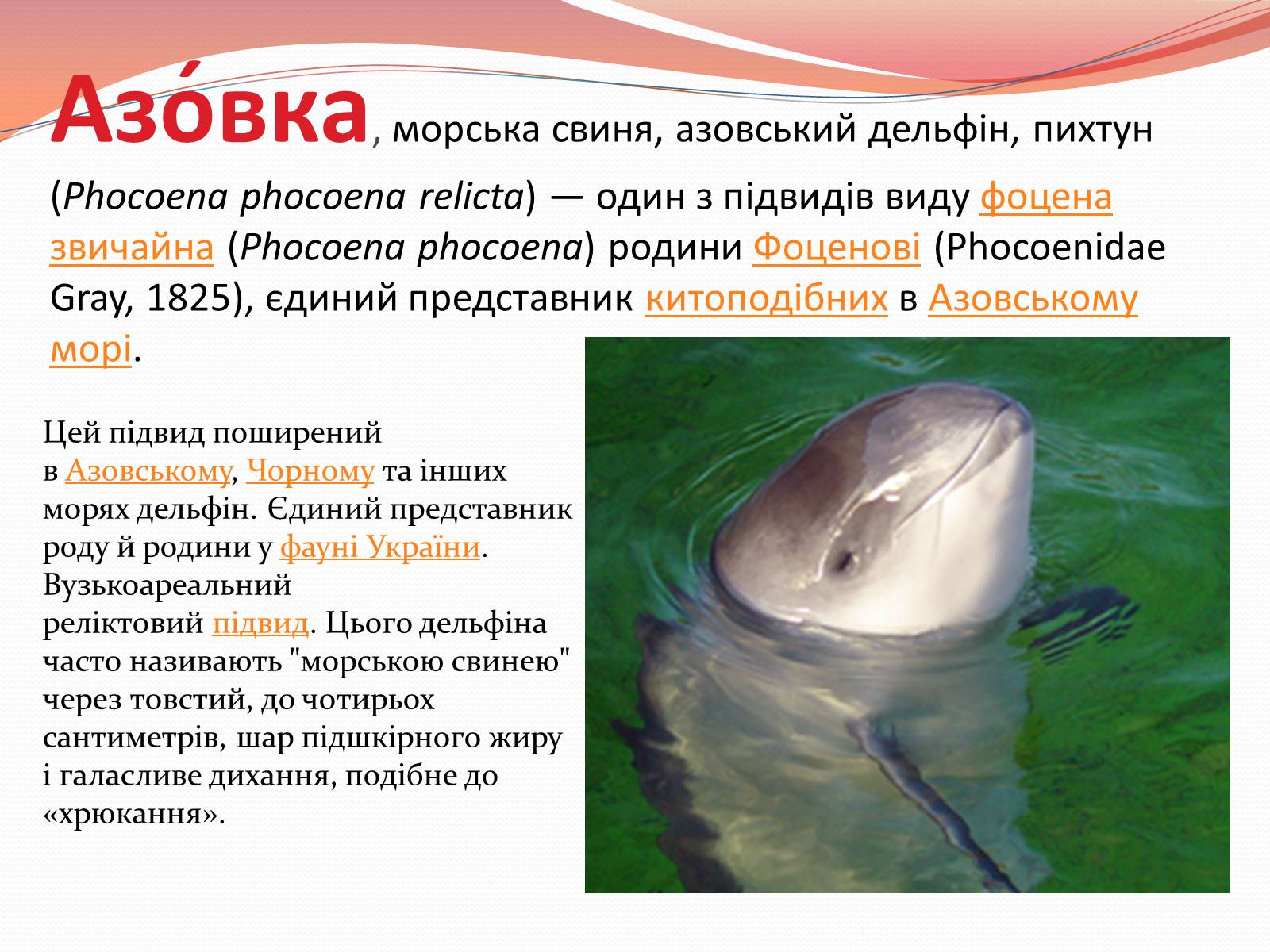 Презентація на тему «Червона книга України» (варіант 10) - Слайд #4