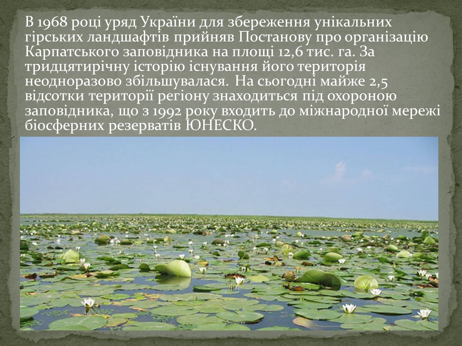 Презентація на тему «Карпатський біосферний заповідник» (варіант 3) - Слайд #3