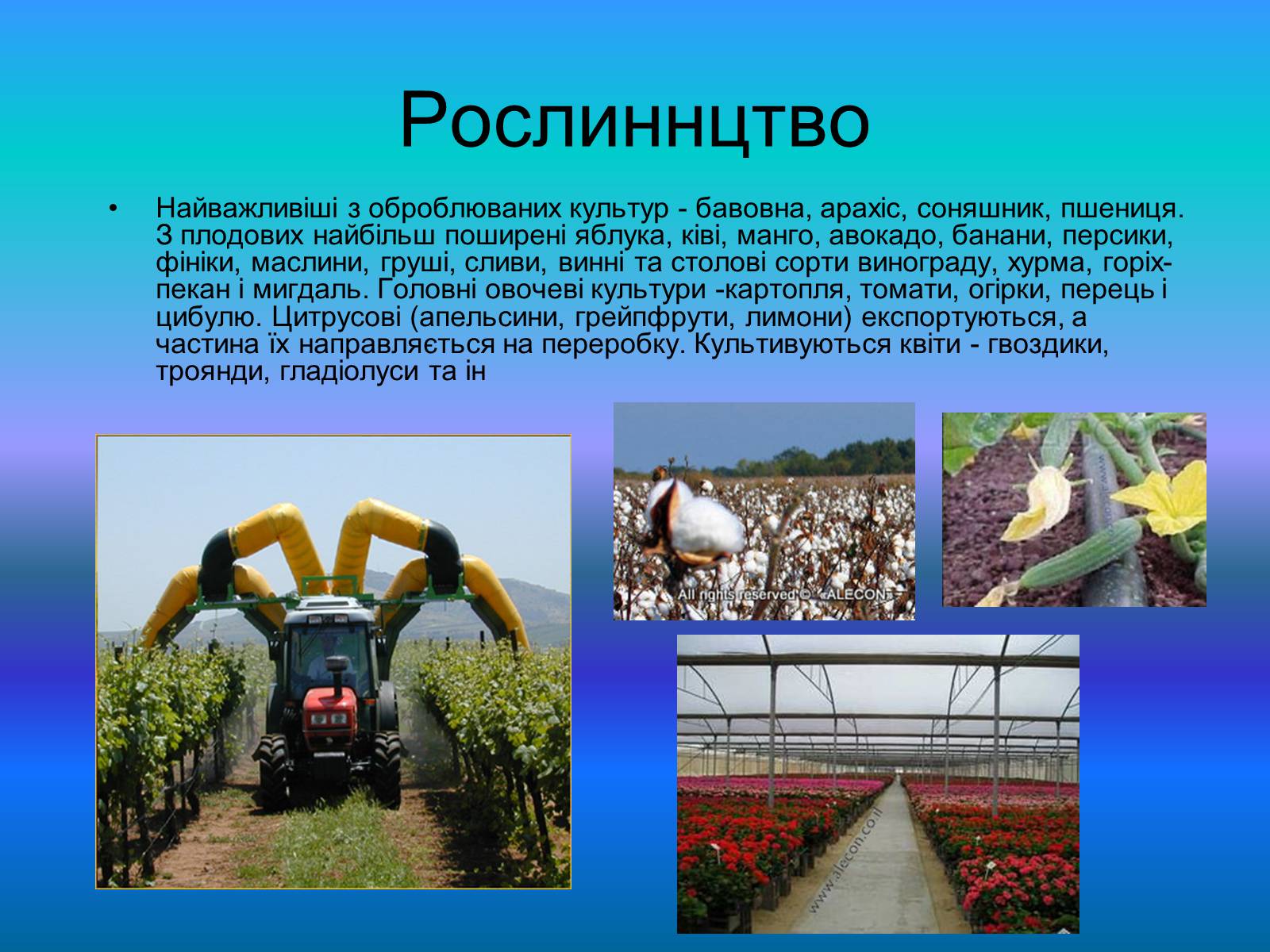 Презентація на тему «Повна характеристика Ізраїлю» - Слайд #9