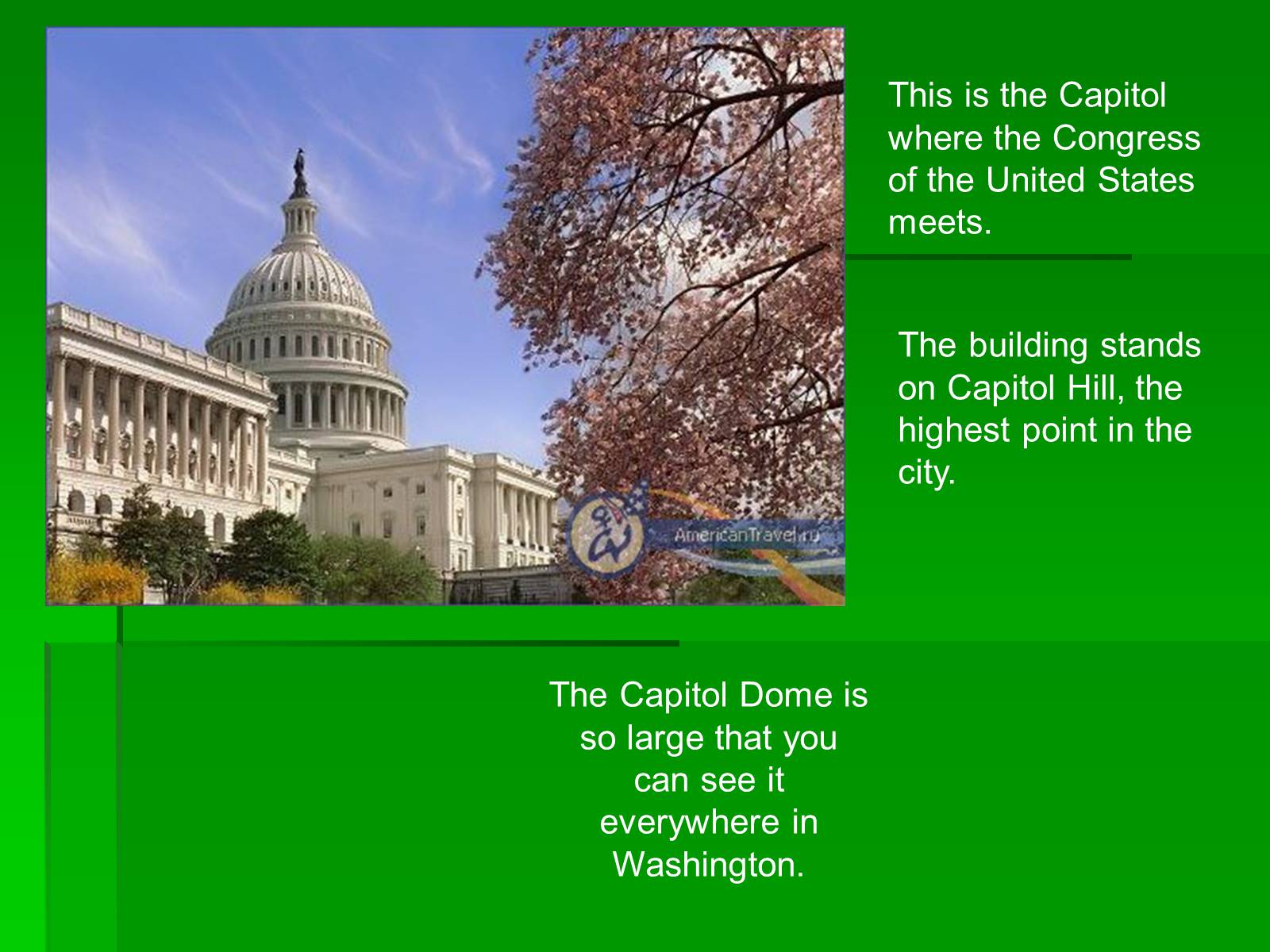 Презентація на тему «Washington D.C.» (варіант 2) - Слайд #5