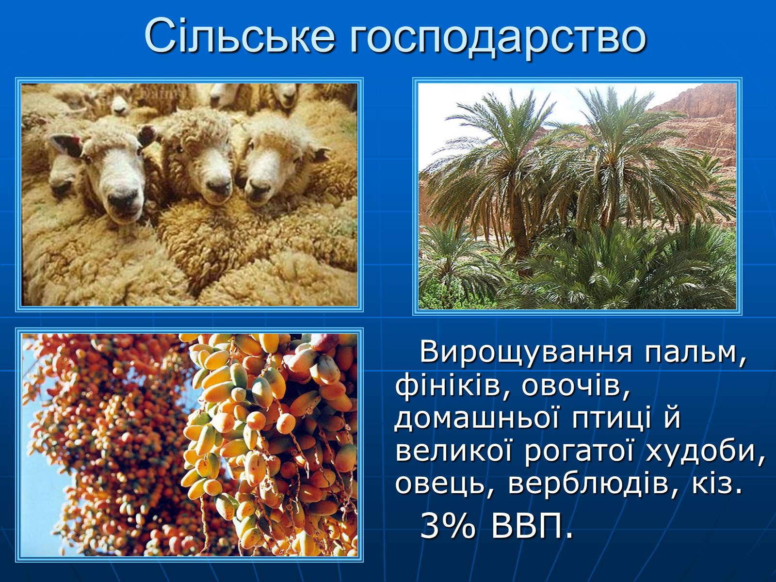 Презентація на тему «Об&#8217;єднані Арабські Емірати» (варіант 1) - Слайд #12