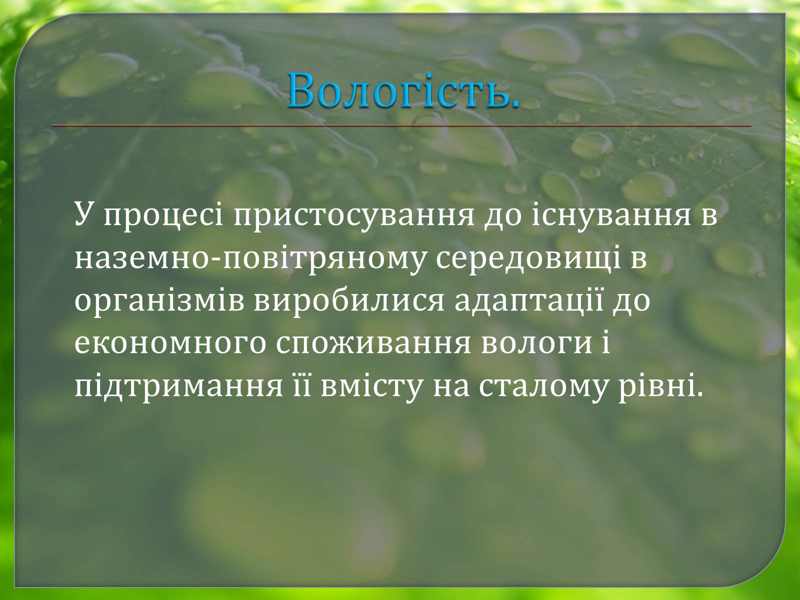 Презентація на тему «Наземно – повітряне середовище» - Слайд #19 Презентація на тему «Наземно – повітряне середовище» - Слайд #19