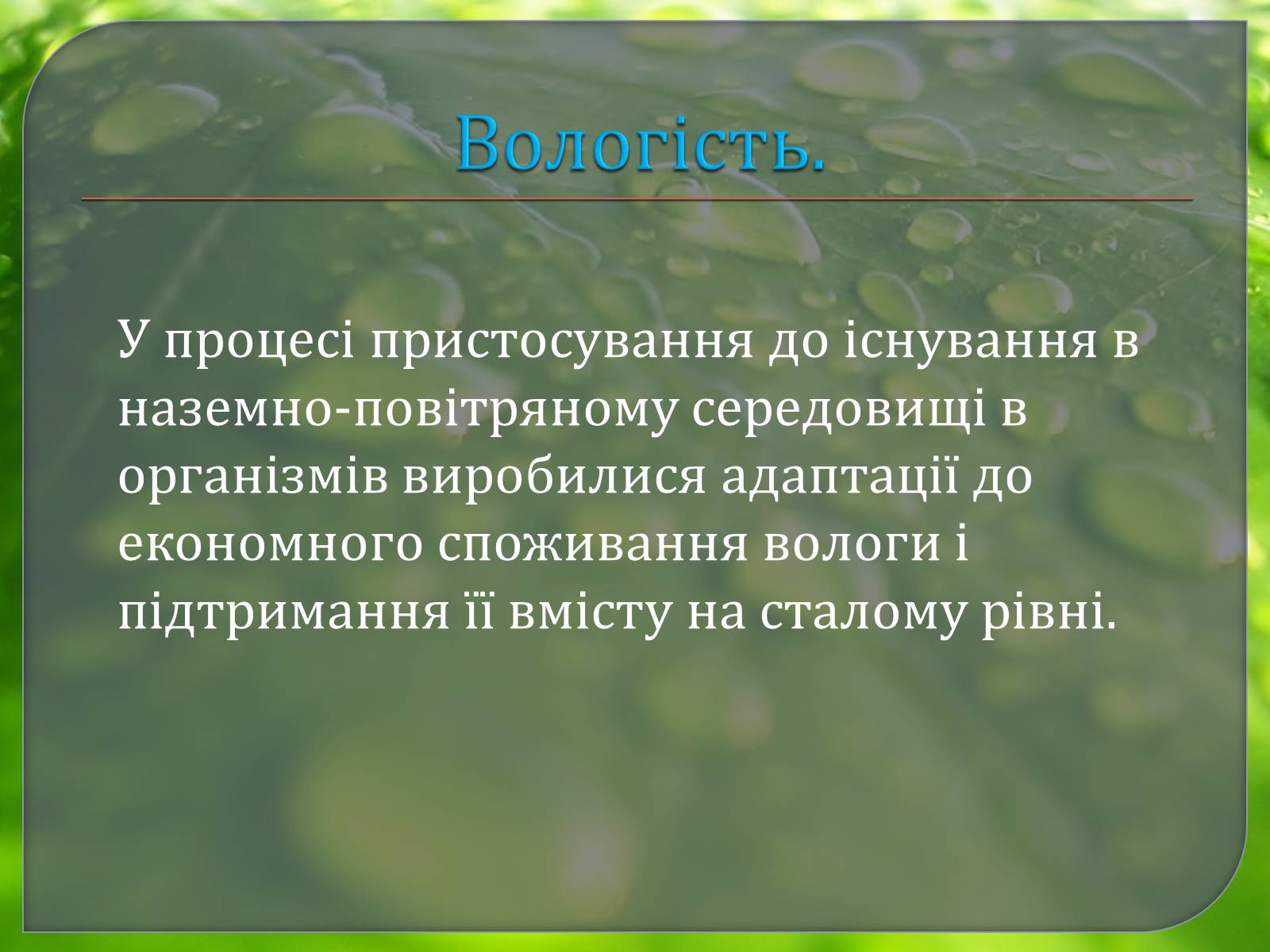 Презентація на тему «Наземно – повітряне середовище» - Слайд #19