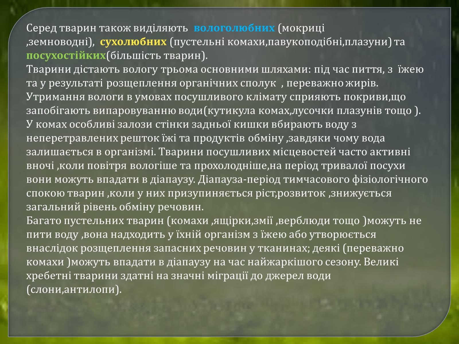 Презентація на тему «Наземно – повітряне середовище» - Слайд #24 Презентація на тему «Наземно – повітряне середовище» - Слайд #24