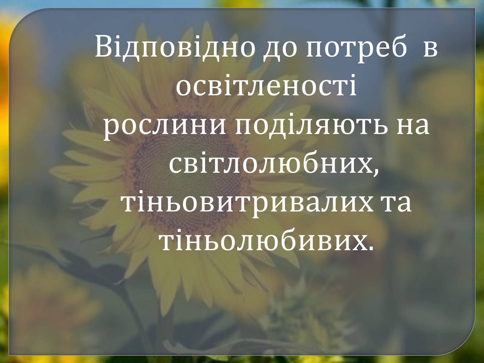 Презентація на тему «Наземно – повітряне середовище» - Слайд #8 Презентація на тему «Наземно – повітряне середовище» - Слайд #8