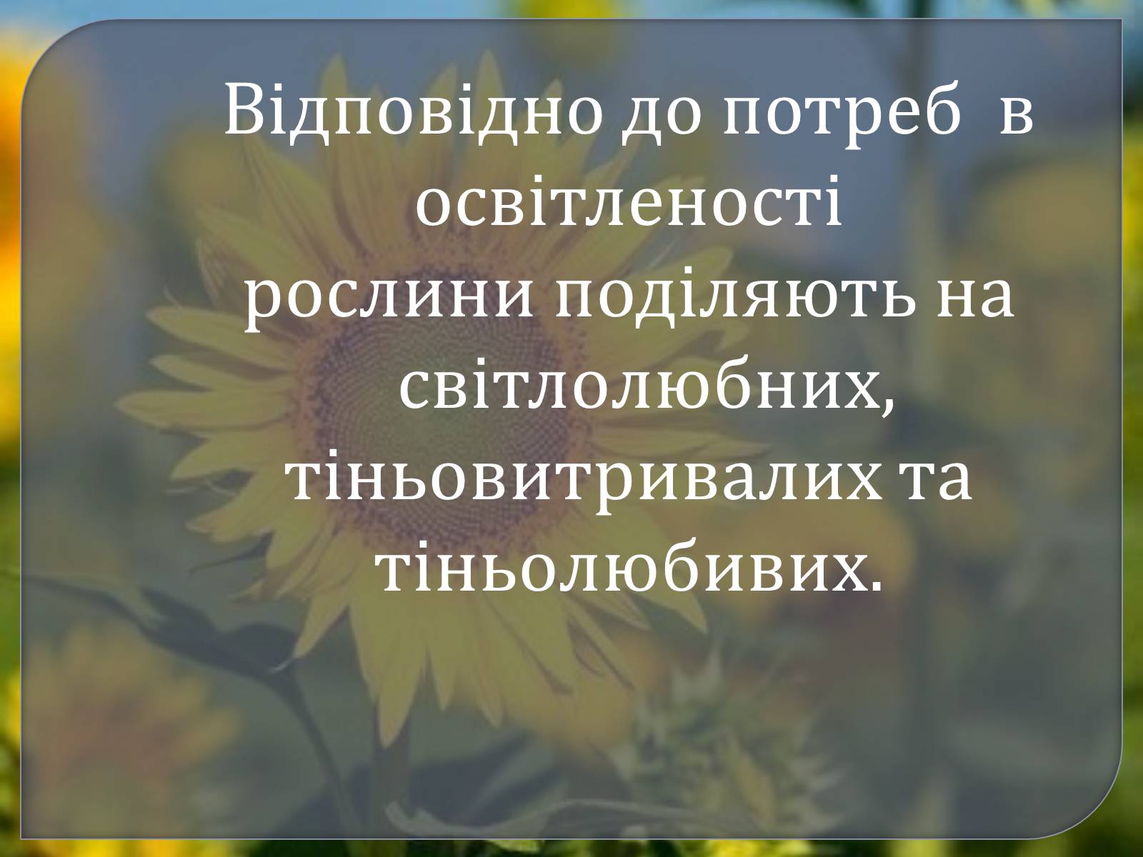 Презентація на тему «Наземно – повітряне середовище» - Слайд #8