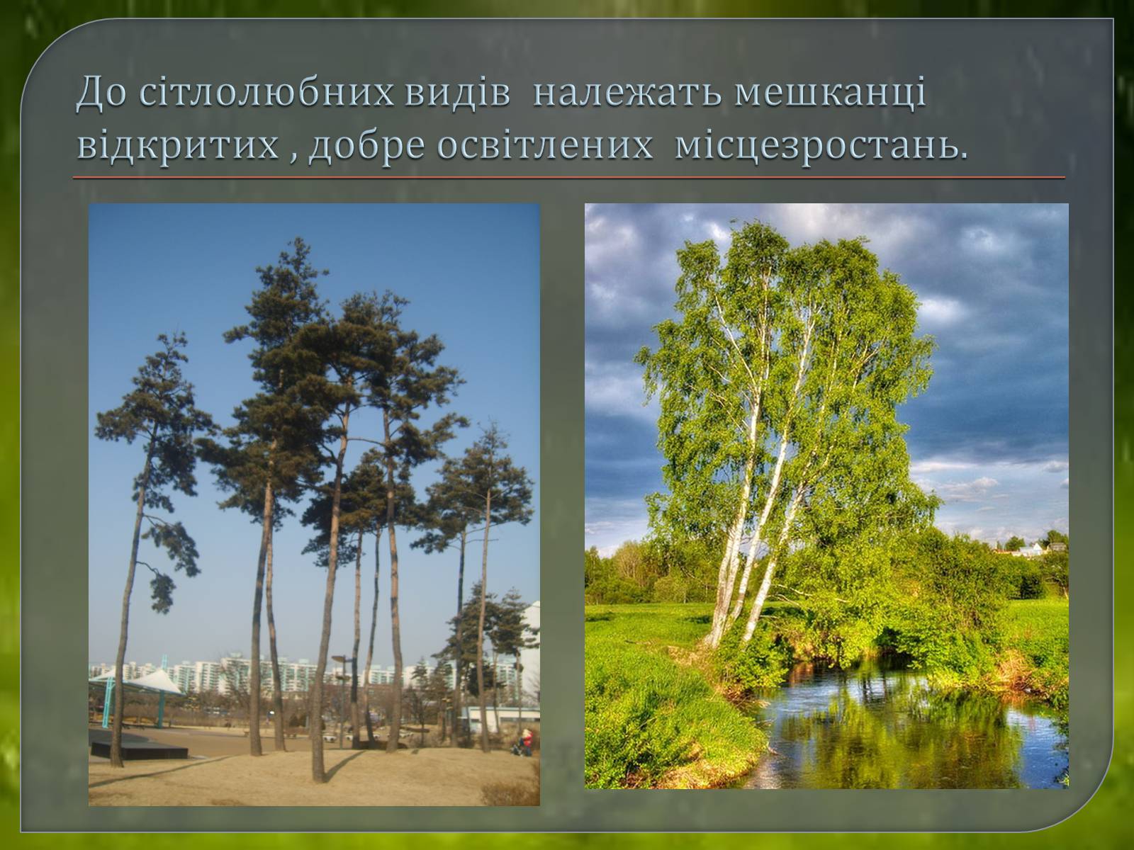 Презентація на тему «Наземно – повітряне середовище» - Слайд #9 Презентація на тему «Наземно – повітряне середовище» - Слайд #9