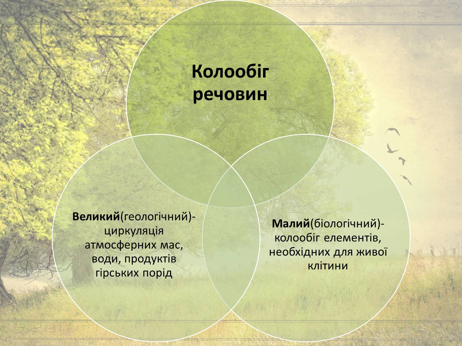 Презентація на тему «Колообіг речовин у природі» (варіант 1) - Слайд #3