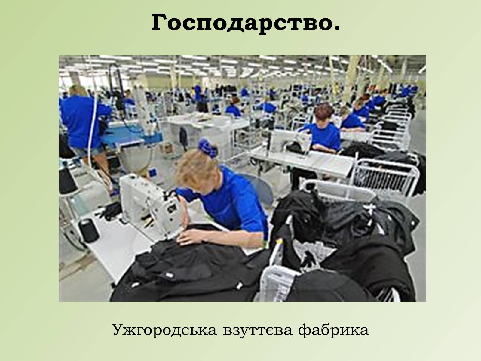 Презентація на тему «Карпатський економічний район» (варіант 1) - Слайд #20