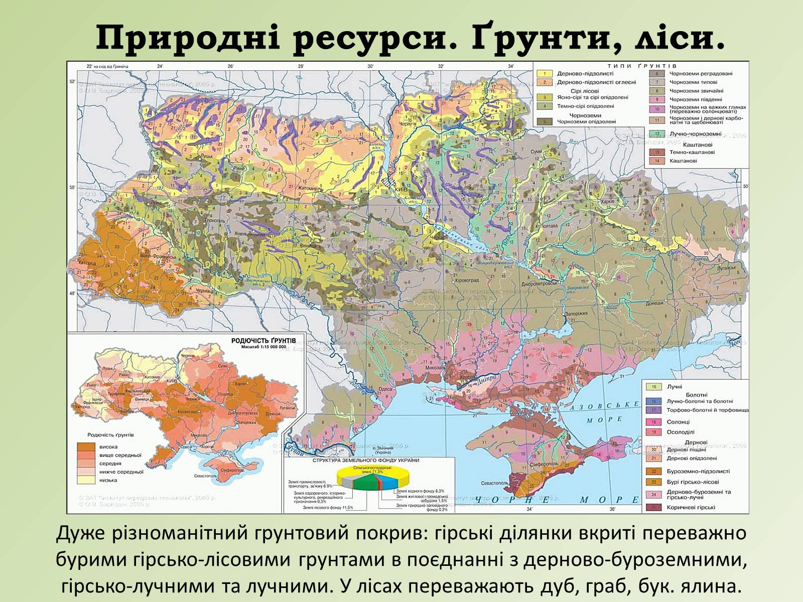 Презентація на тему «Карпатський економічний район» (варіант 1) - Слайд #9