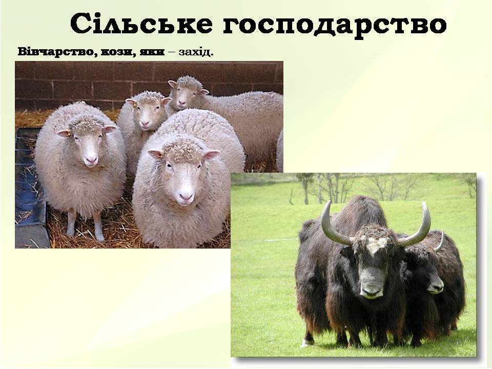 Презентація на тему «Китайська Народна Республіка» (варіант 5) - Слайд #33