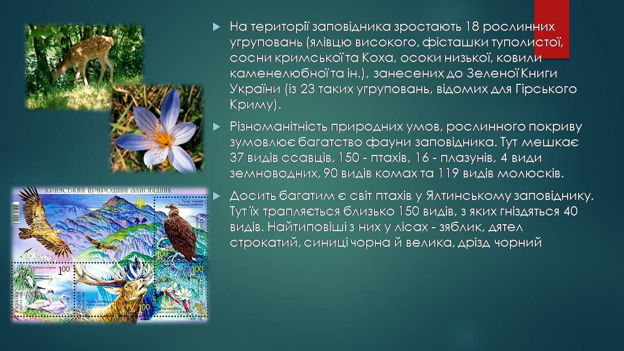 Презентація на тему «Заповідна мережа України» (варіант 7) - Слайд #3