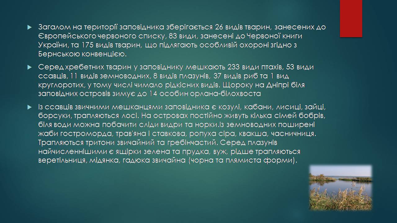 Презентація на тему «Заповідна мережа України» (варіант 7) - Слайд #5