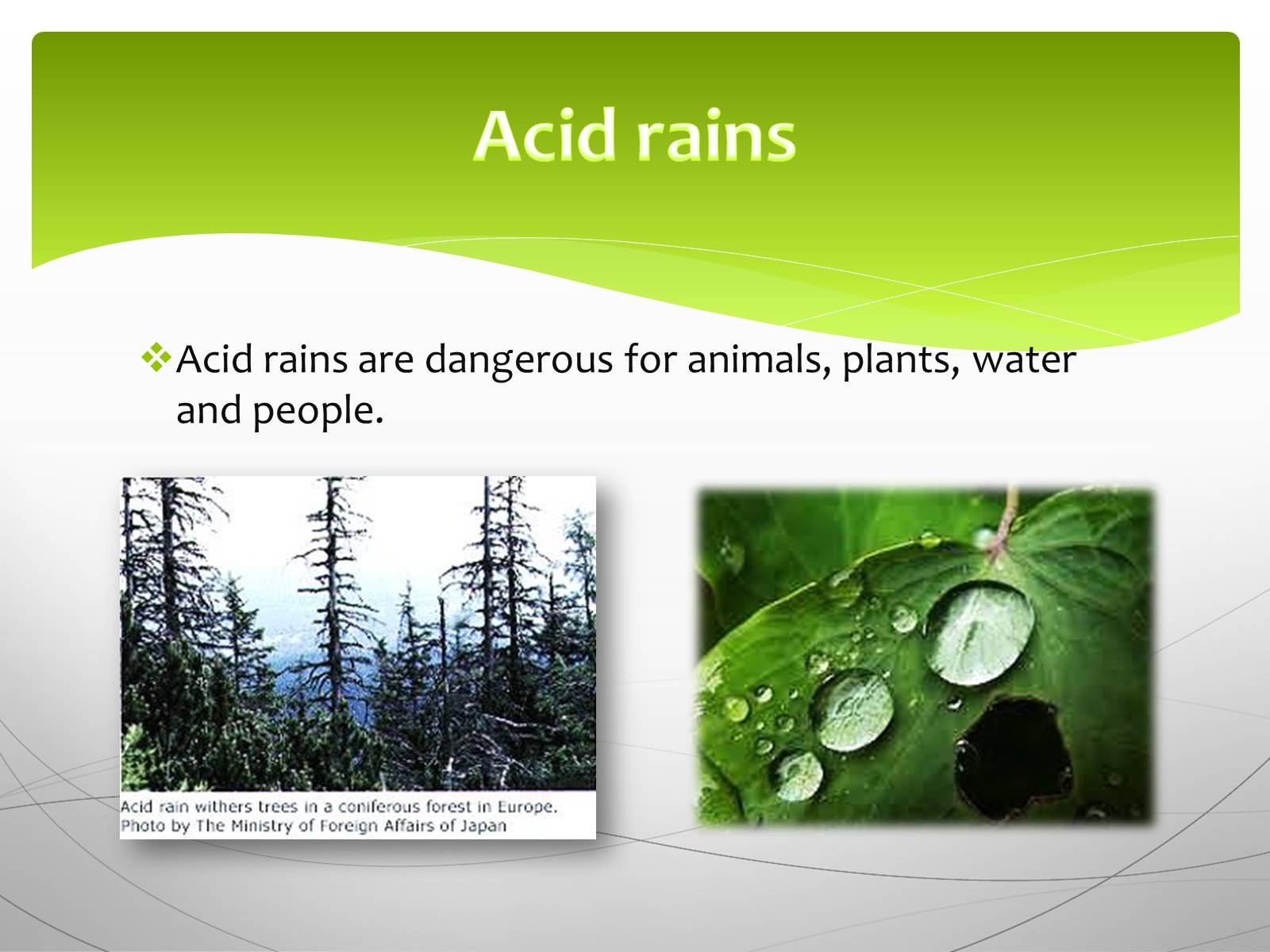 Презентація на тему «Environmental protection» (варіант 4) - Слайд #8