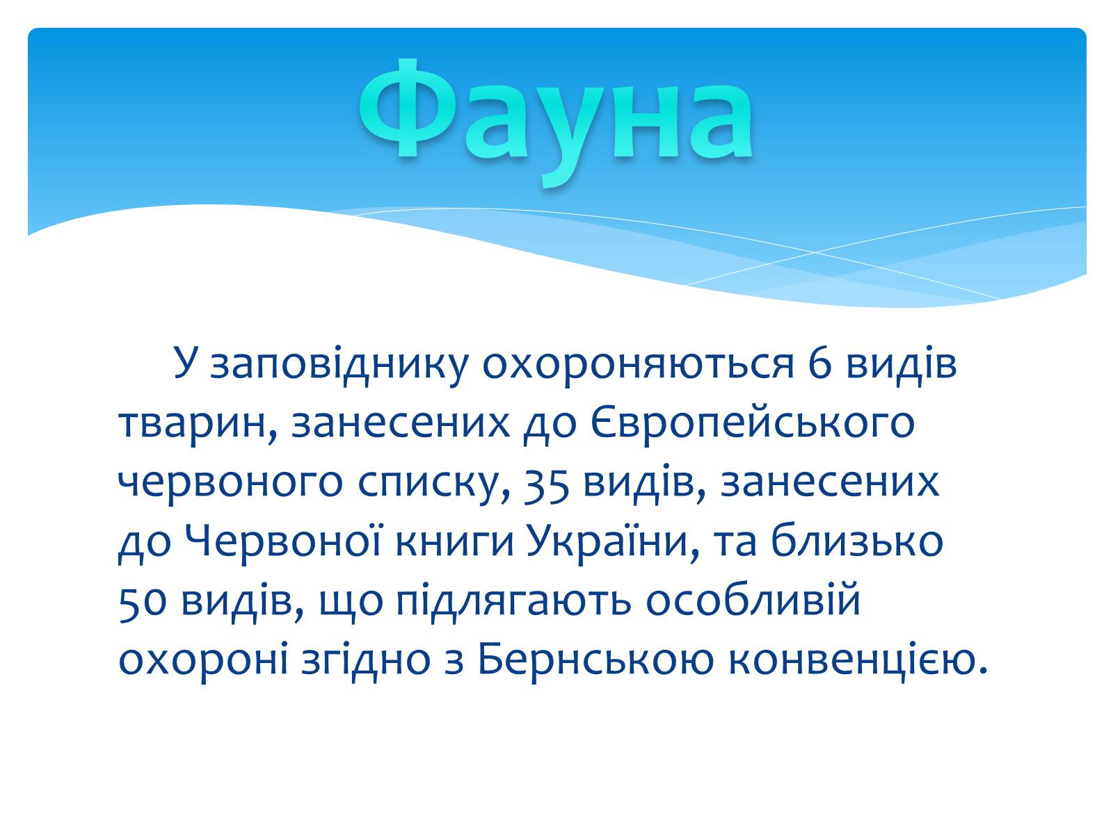 Презентація на тему «Казантипський природний заповідник» - Слайд #13