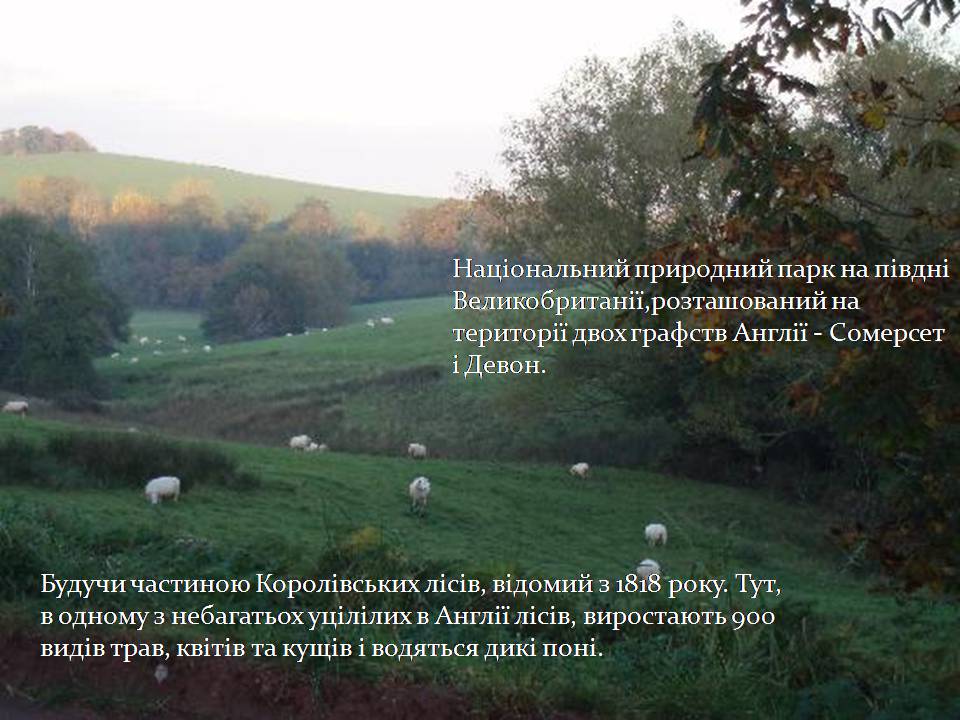 Презентація на тему «Природні парки Великої Британії» (варіант 4) - Слайд #10