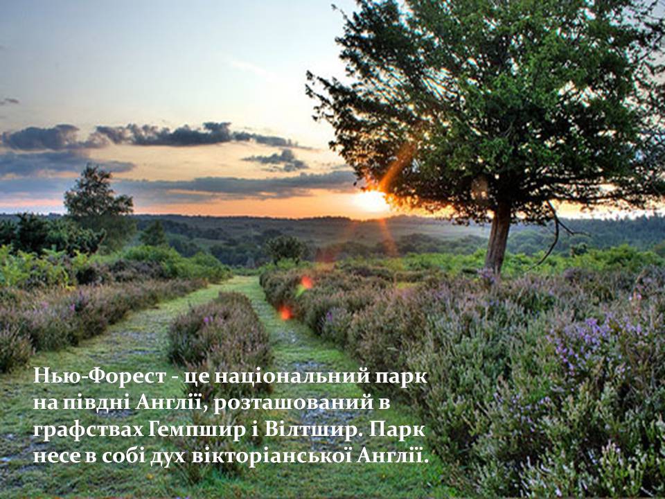 Презентація на тему «Природні парки Великої Британії» (варіант 4) - Слайд #8