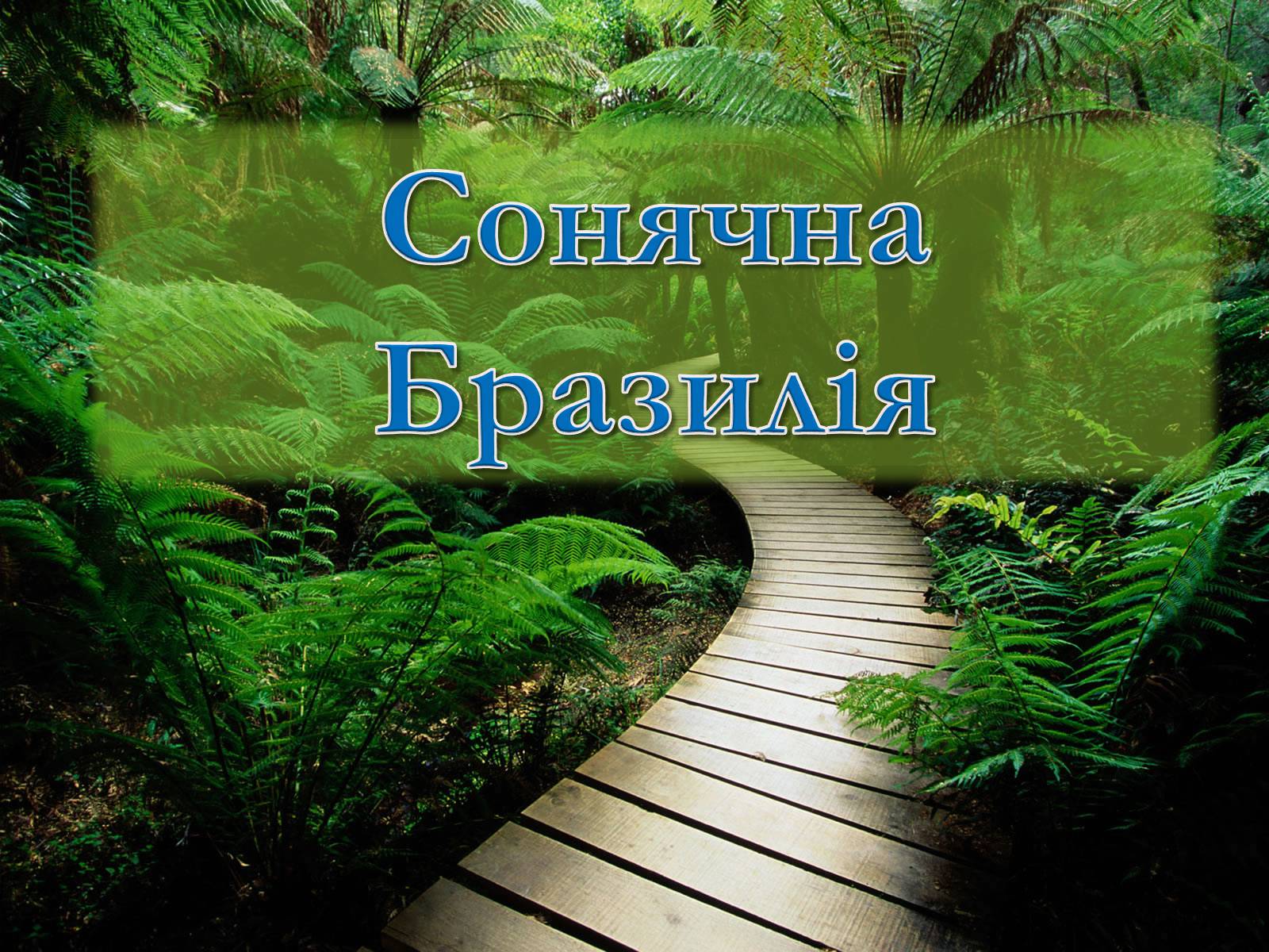 Презентація на тему «Сонячна Бразилія» - Слайд #1