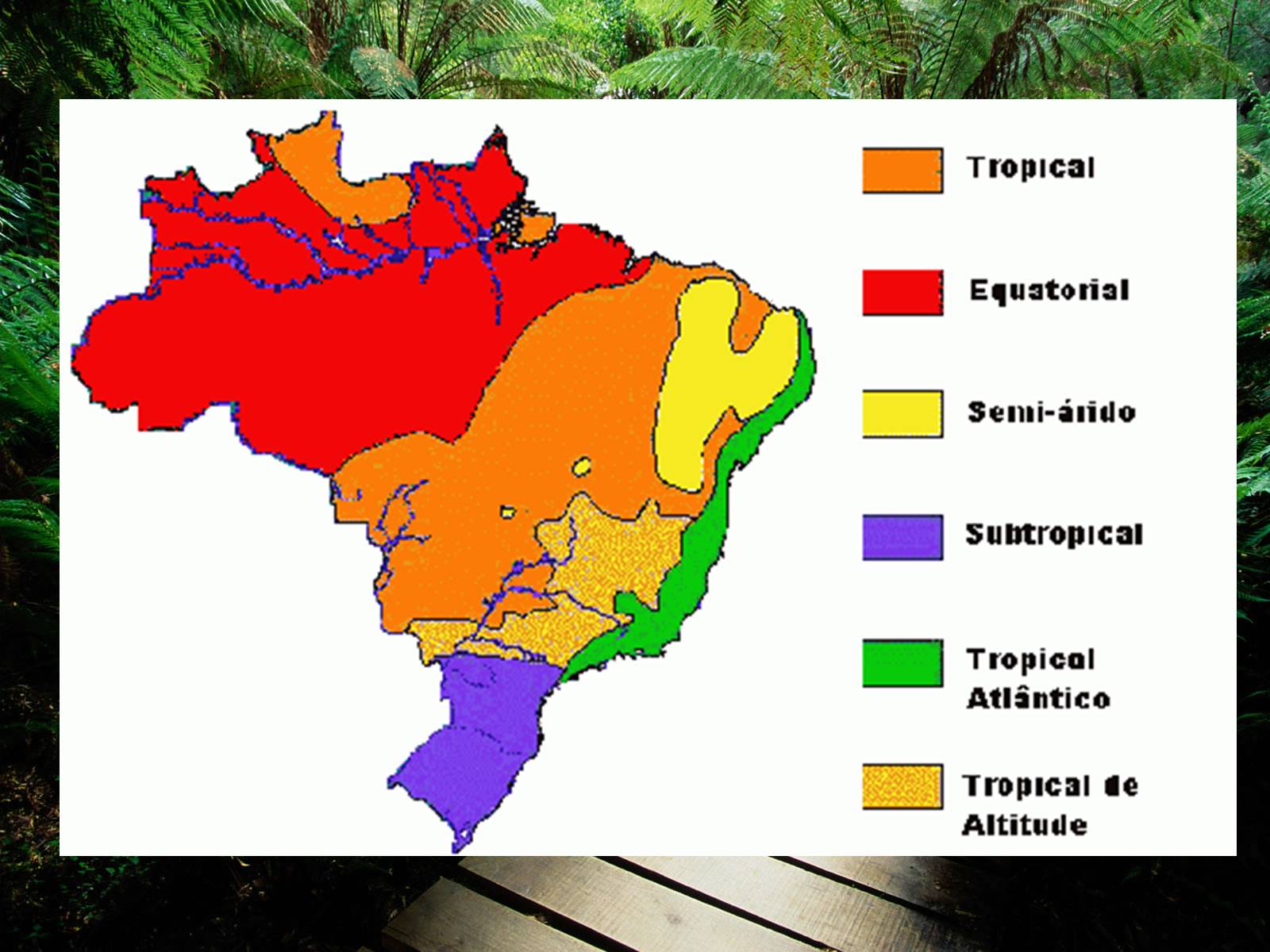 Основные особенности природных зон бразилии кратко