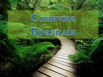 Презентація на тему «Сонячна Бразилія»