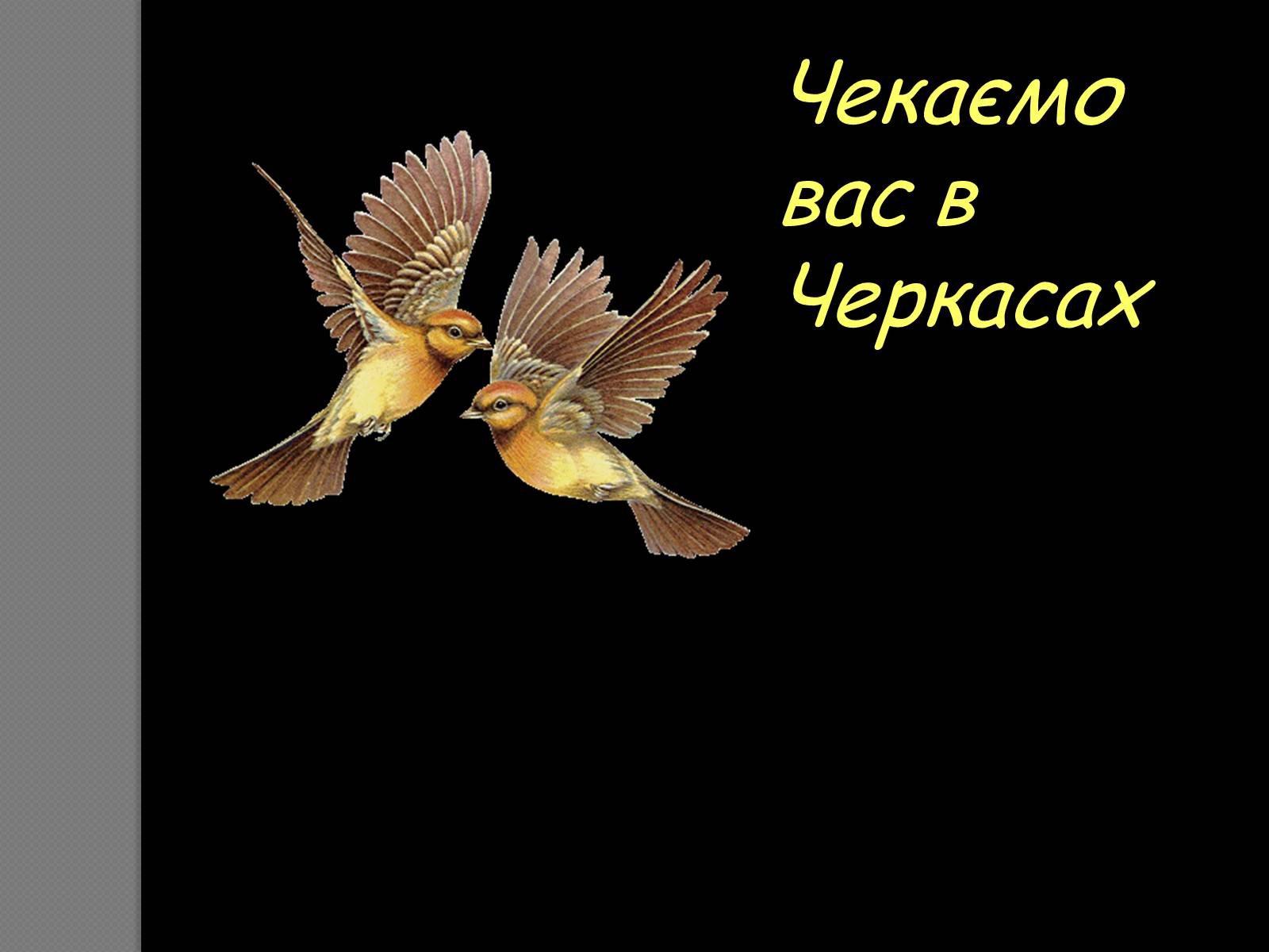 Презентація на тему «Черкаси» - Слайд #7