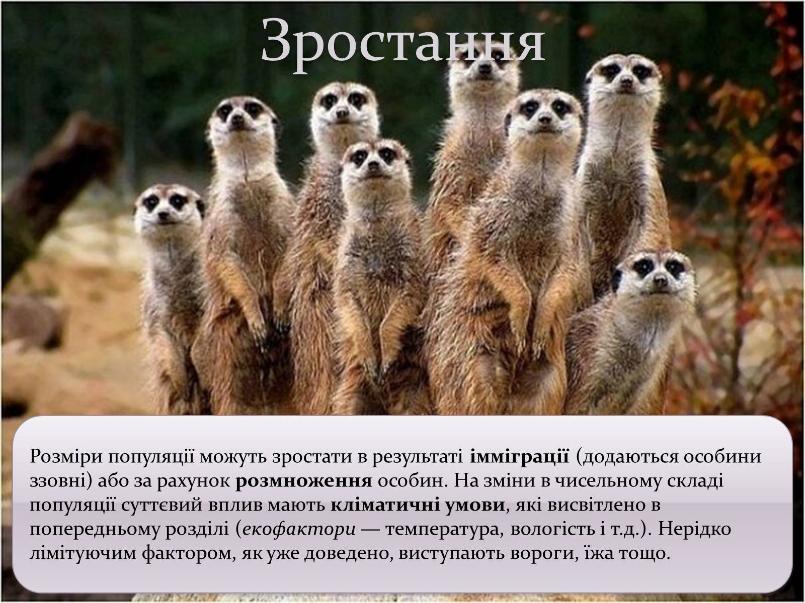 Презентація на тему «Регуляція чисельності популяцій» - Слайд #6