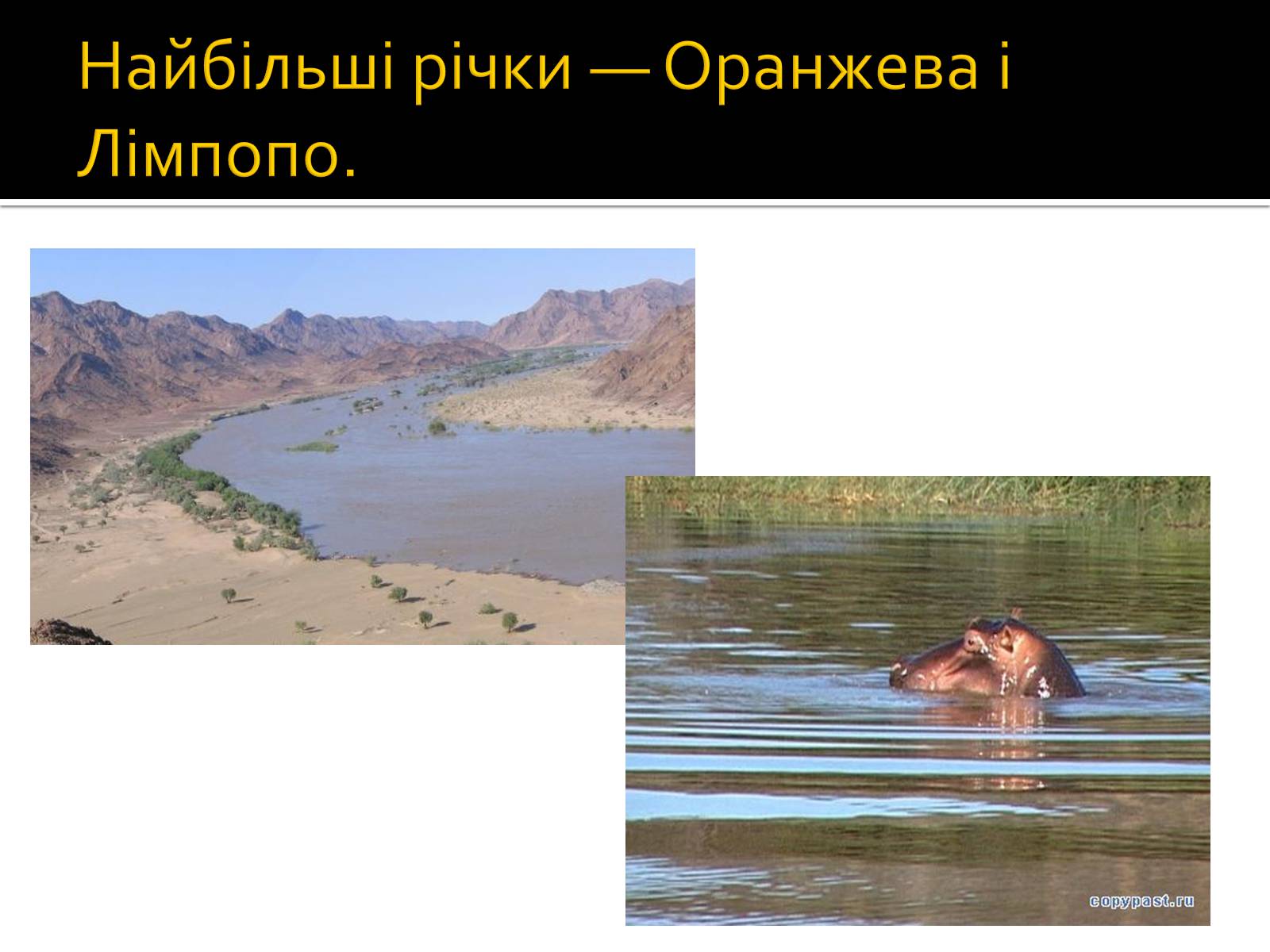 Презентація на тему «Південно-Африканська Республіка» (варіант 3) - Слайд #10