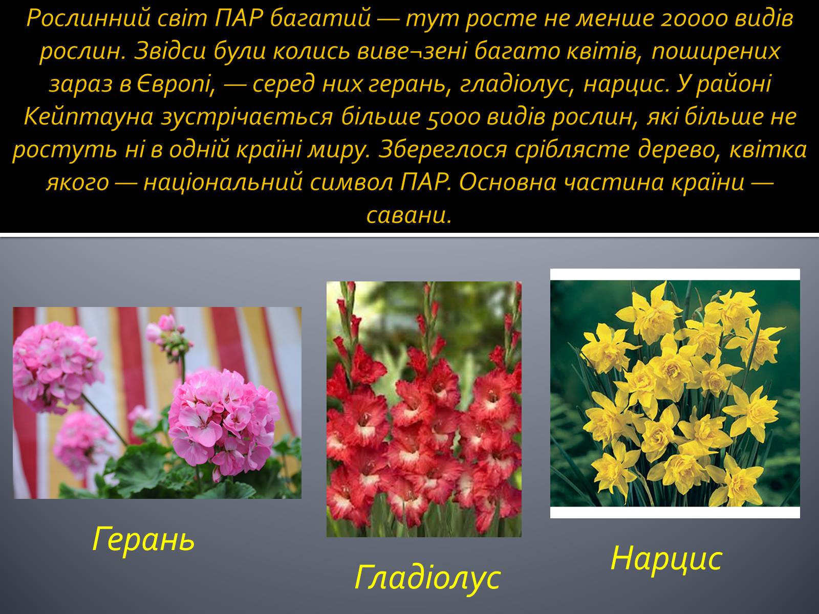 Презентація на тему «Південно-Африканська Республіка» (варіант 3) - Слайд #6