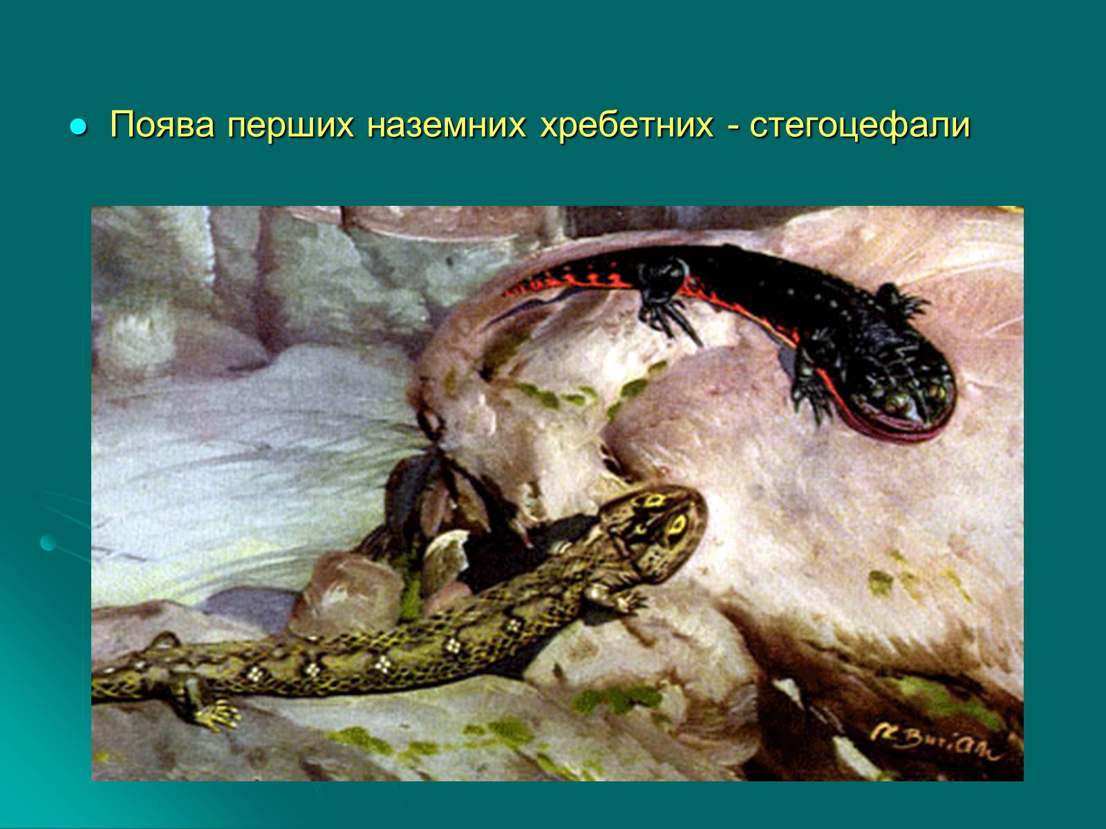 Презентація на тему «Палеозойська ера» (варіант 3) - Слайд #9