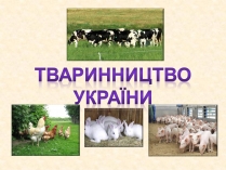 Презентація на тему «Тваринництво» (варіант 2)