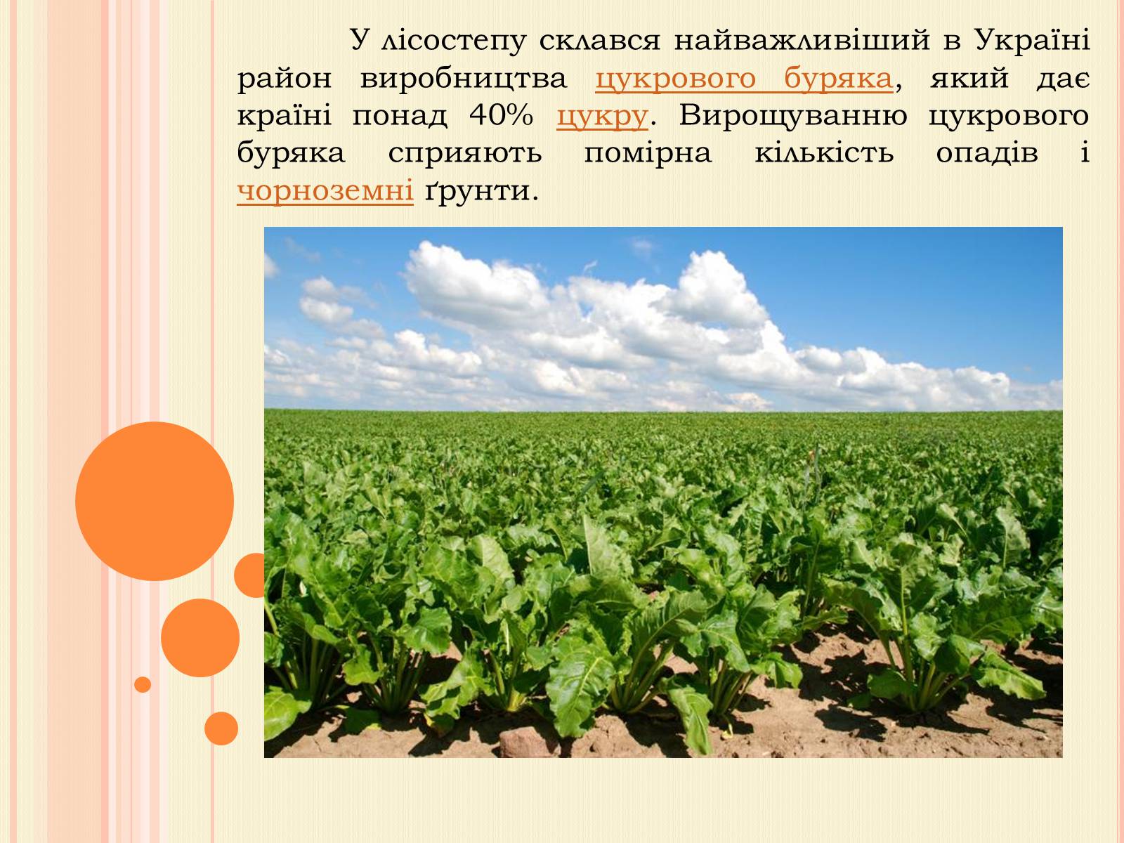 Презентація на тему «Рослинництво» (варіант 1) - Слайд #8