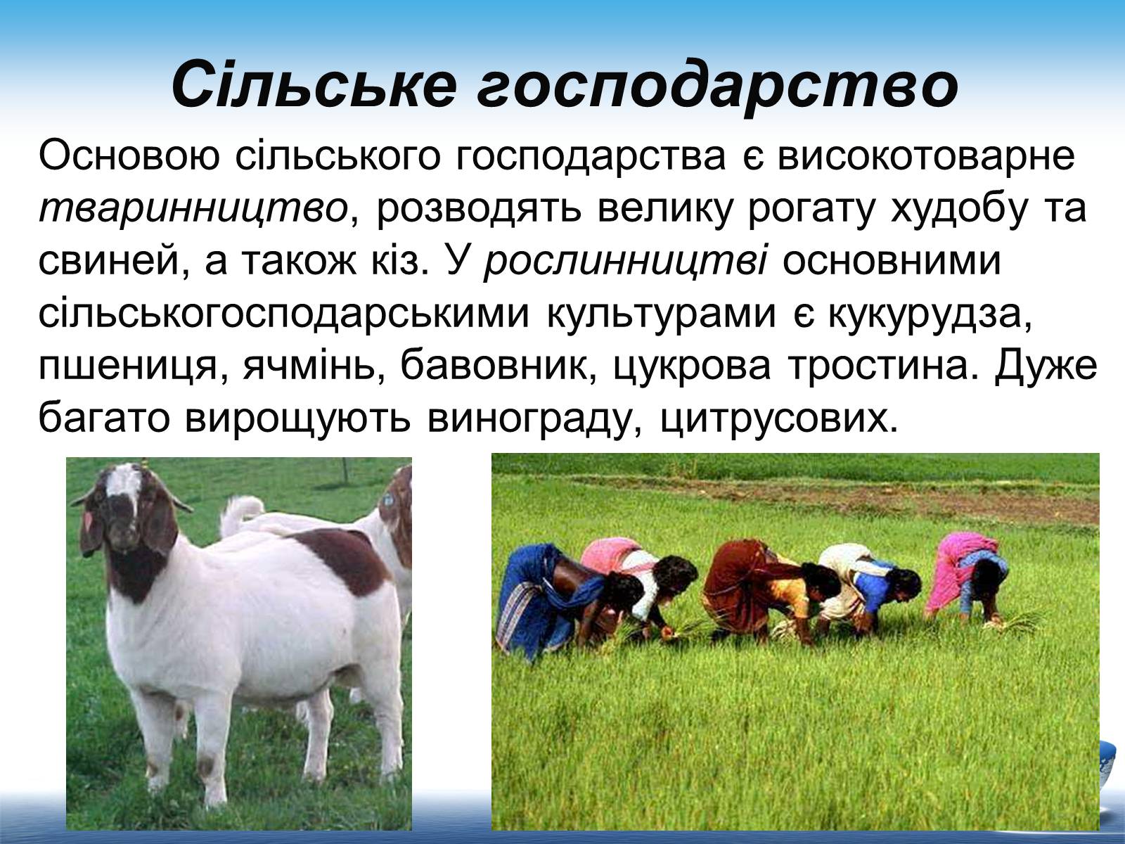 Презентація на тему «Південно-Африканська Республіка» (варіант 7) - Слайд #15