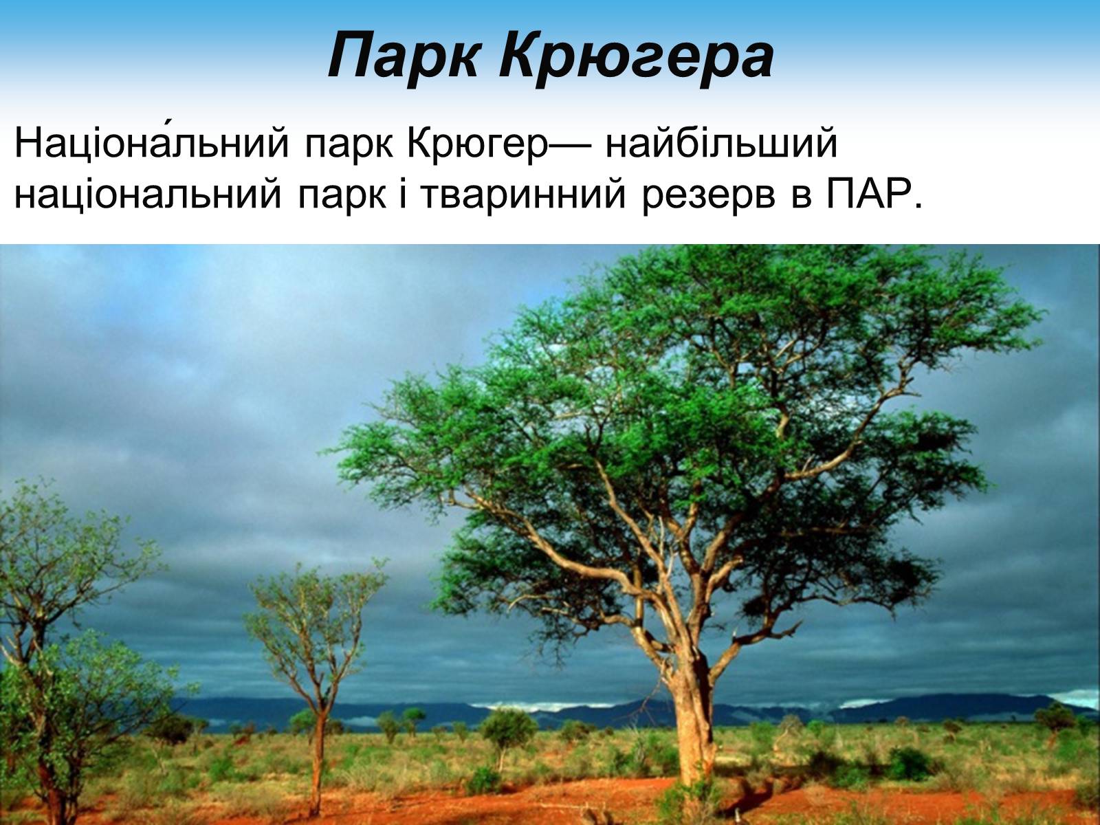 Презентація на тему «Південно-Африканська Республіка» (варіант 7) - Слайд #19