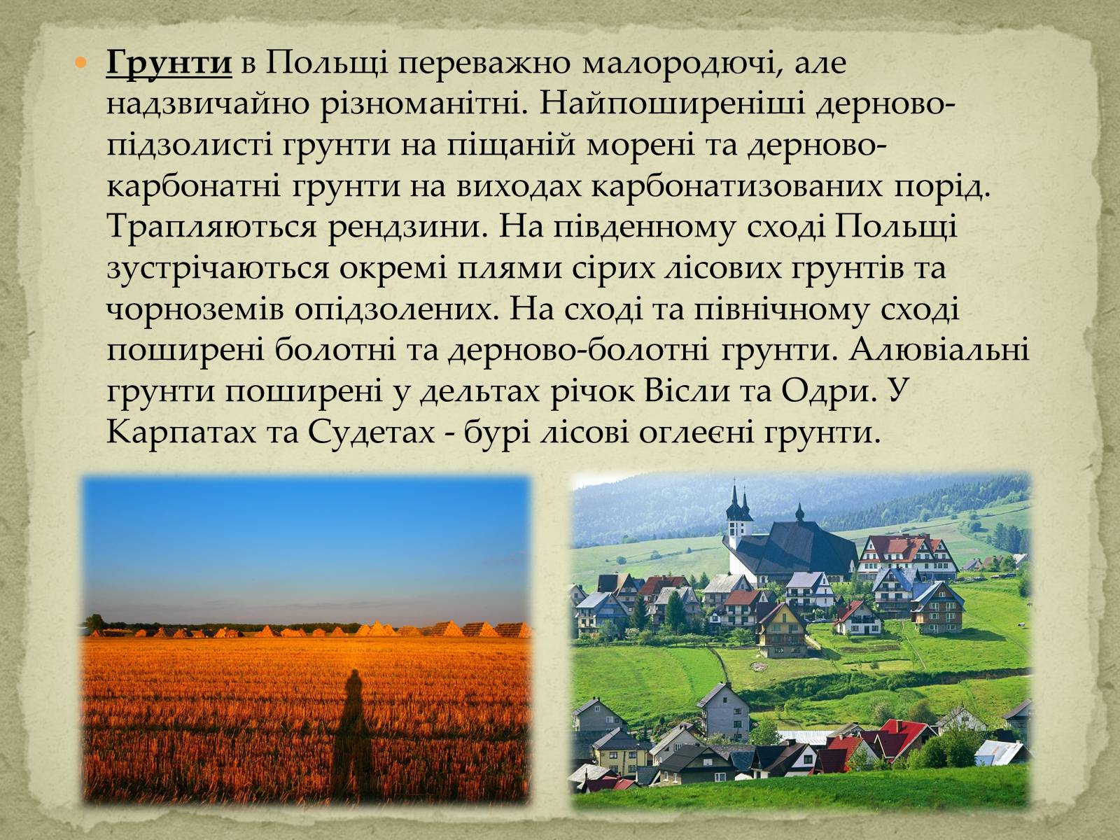 Презентація на тему «Польща» (варіант 10) - Слайд #8