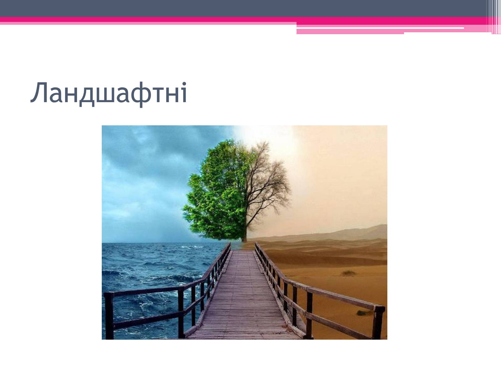 Презентація на тему «Екологічні проблеми» (варіант 1) - Слайд #15