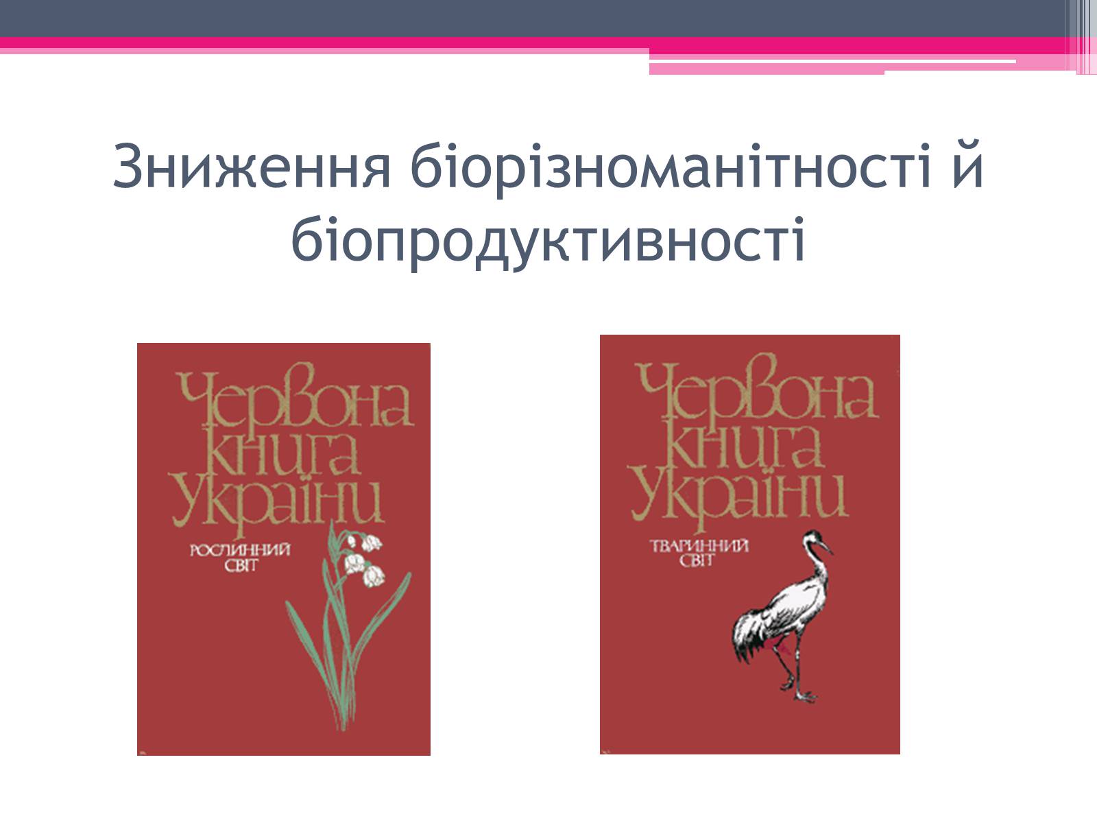 Презентація на тему «Екологічні проблеми» (варіант 1) - Слайд #43