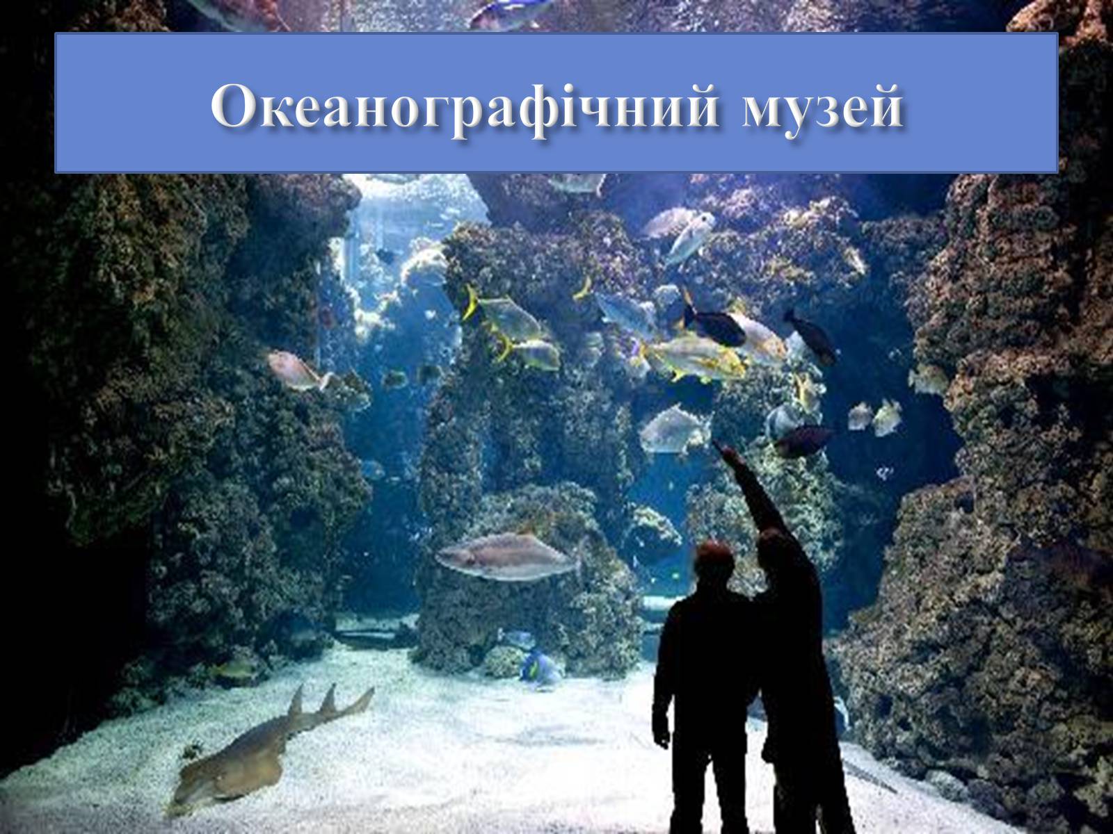 Презентація на тему «Візитна картка Монако» - Слайд #19