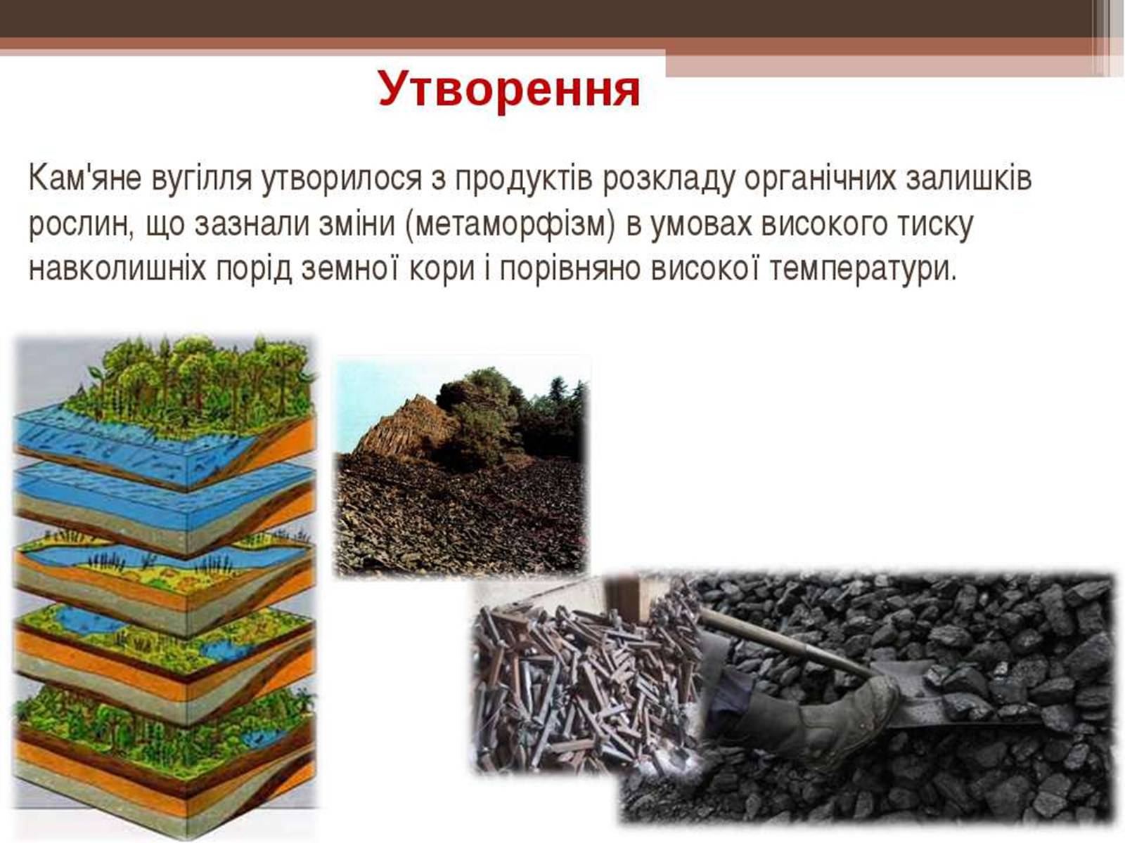 Презентація на тему «Кам&#8217;яне вугілля та продукти його переробки» (варіант 3) - Слайд #5