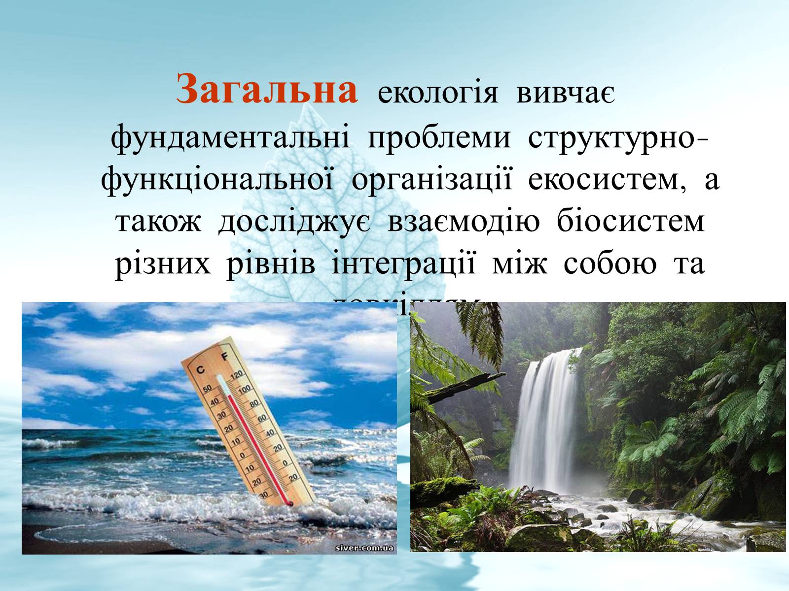 Презентація на тему «Структура сучасної екології та її місце в системі наук» (варіант 3) - Слайд #11