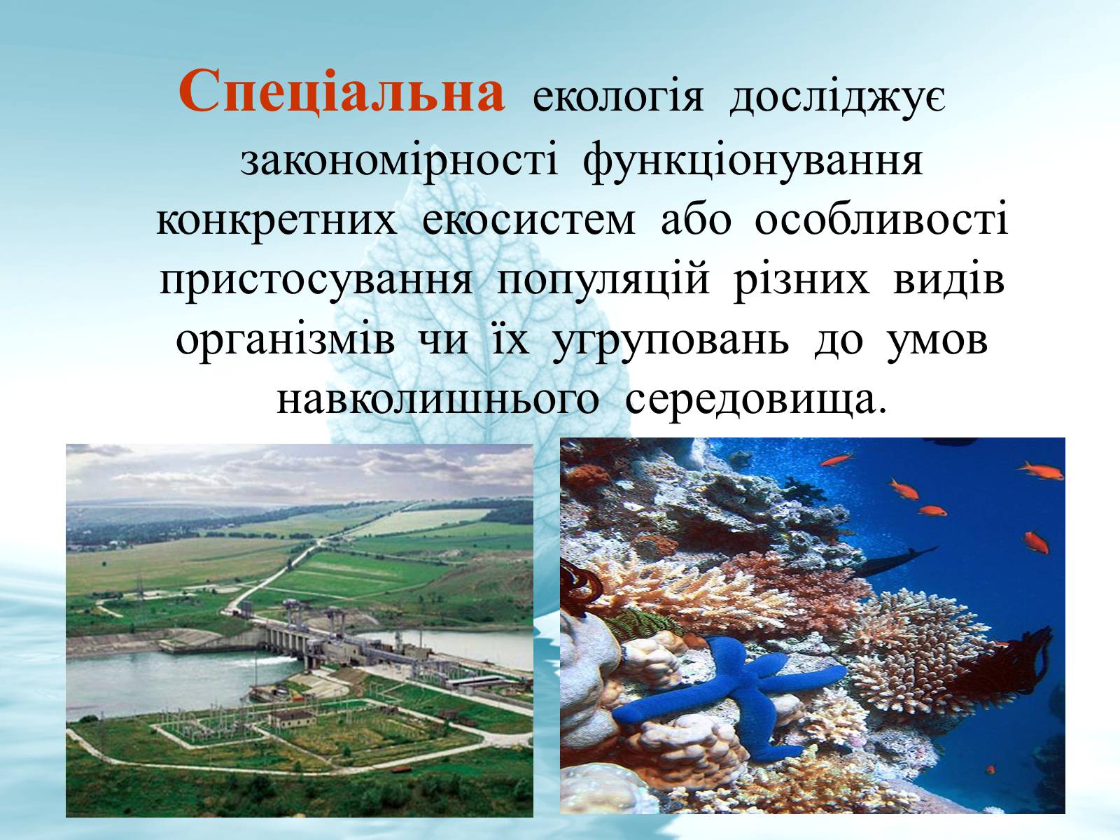 Презентація на тему «Структура сучасної екології та її місце в системі наук» (варіант 3) - Слайд #12