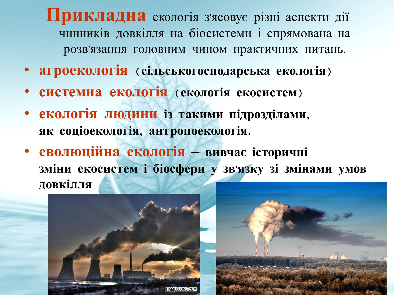 Презентація на тему «Структура сучасної екології та її місце в системі наук» (варіант 3) - Слайд #13