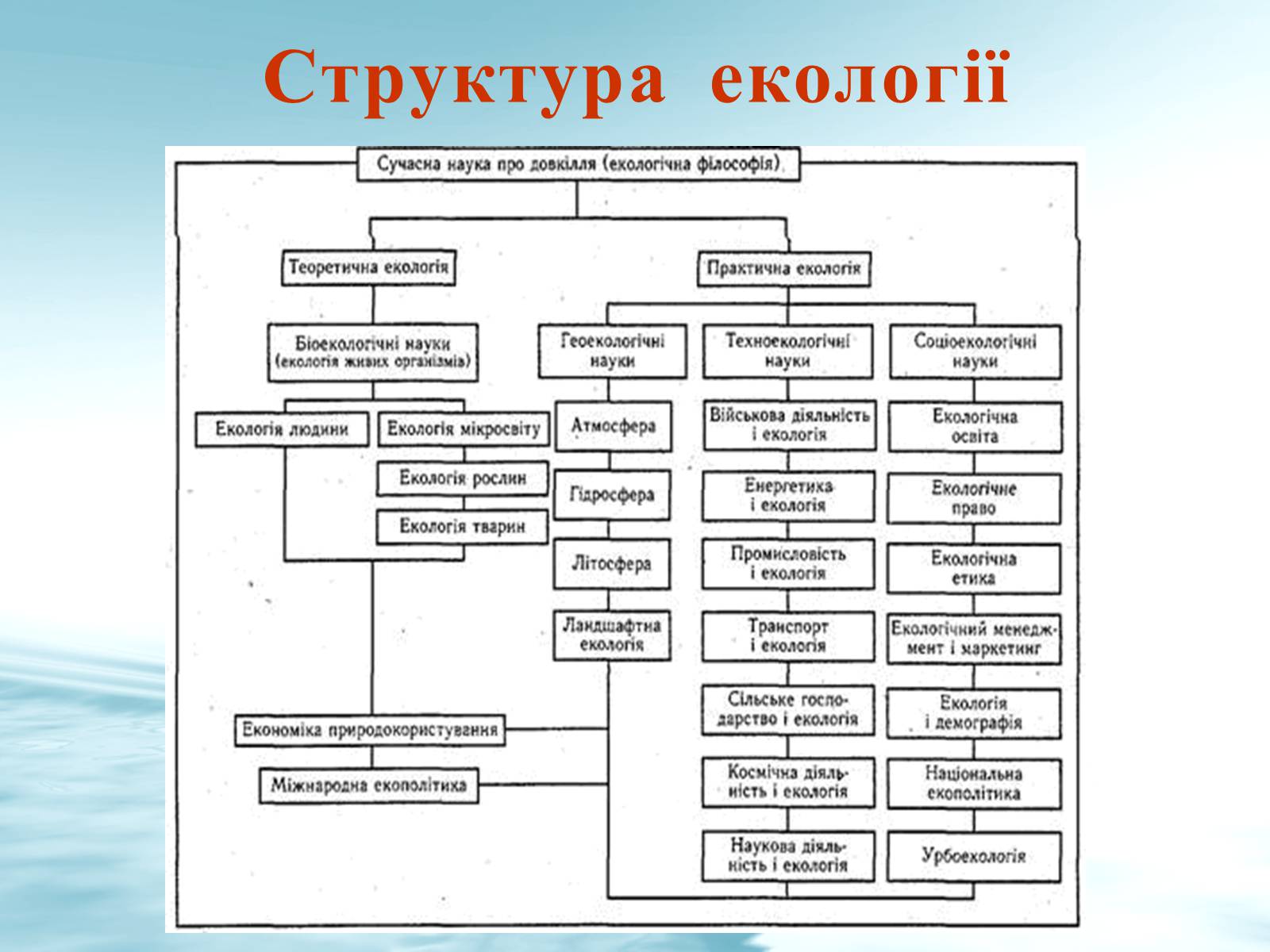 Презентація на тему «Структура сучасної екології та її місце в системі наук» (варіант 3) - Слайд #4