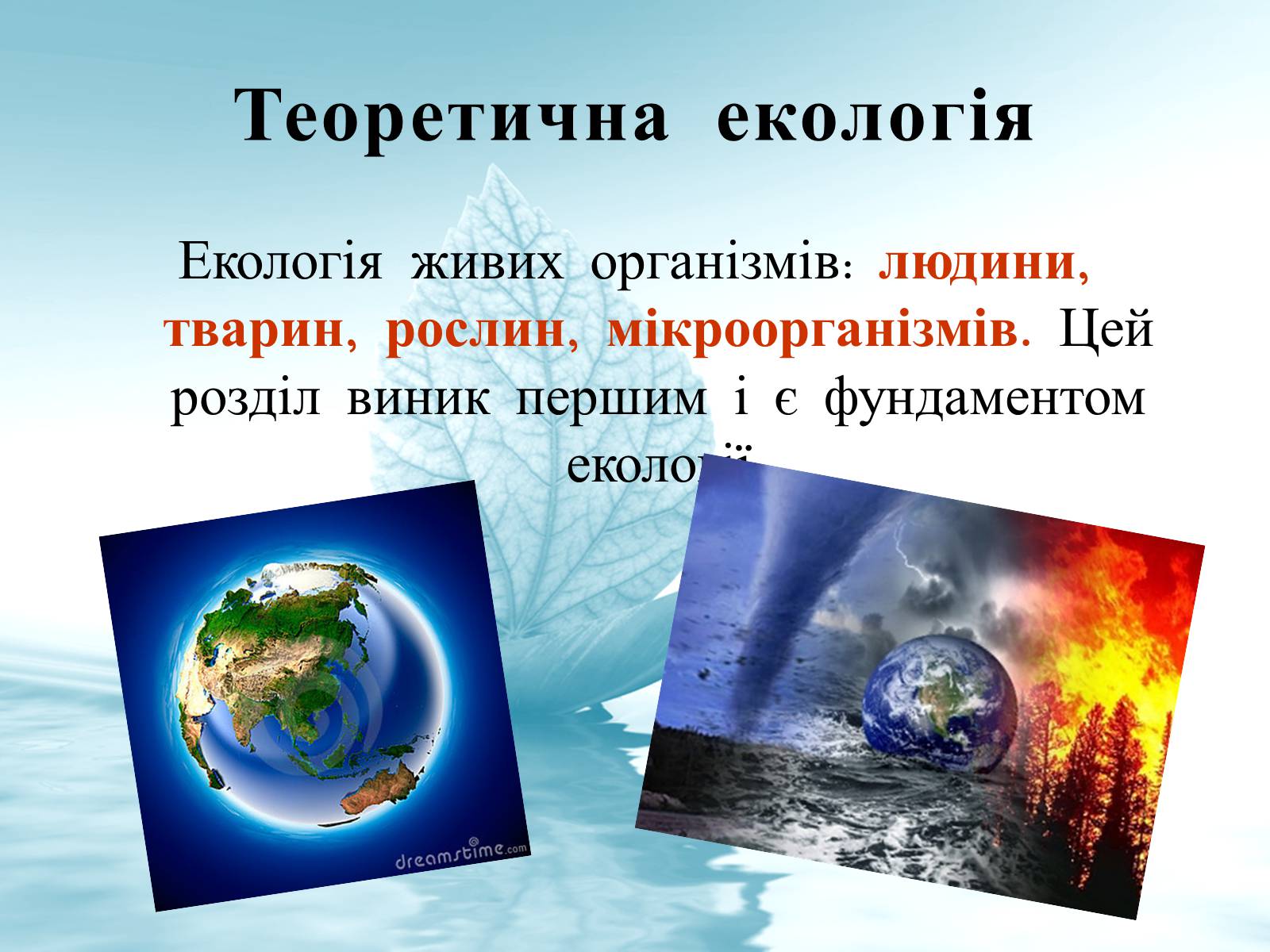 Презентація на тему «Структура сучасної екології та її місце в системі наук» (варіант 3) - Слайд #8