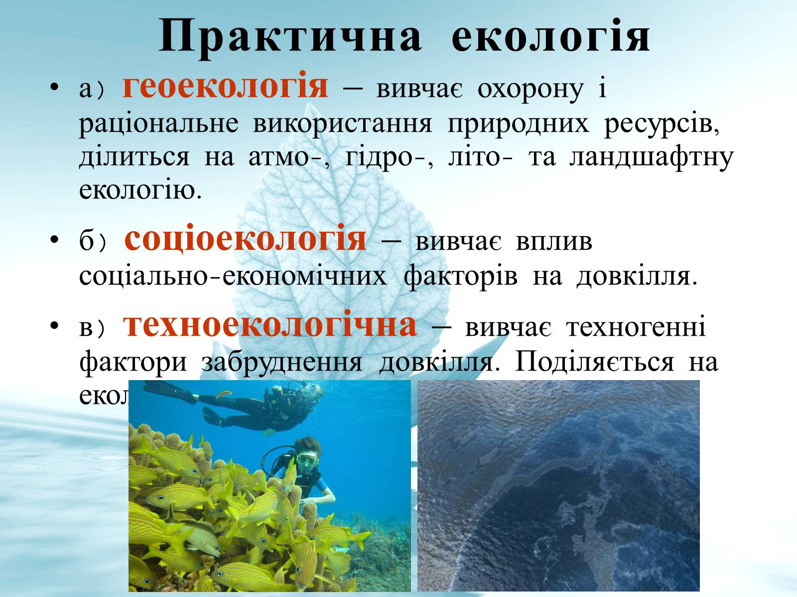 Презентація на тему «Структура сучасної екології та її місце в системі наук» (варіант 3) - Слайд #9