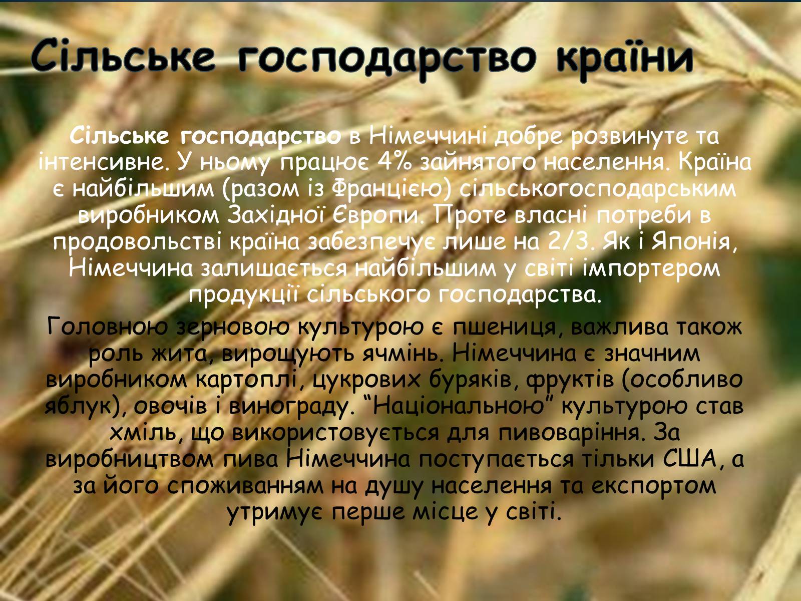 Презентація на тему «Федеративна Республіка Німеччина» (варіант 5) - Слайд #17