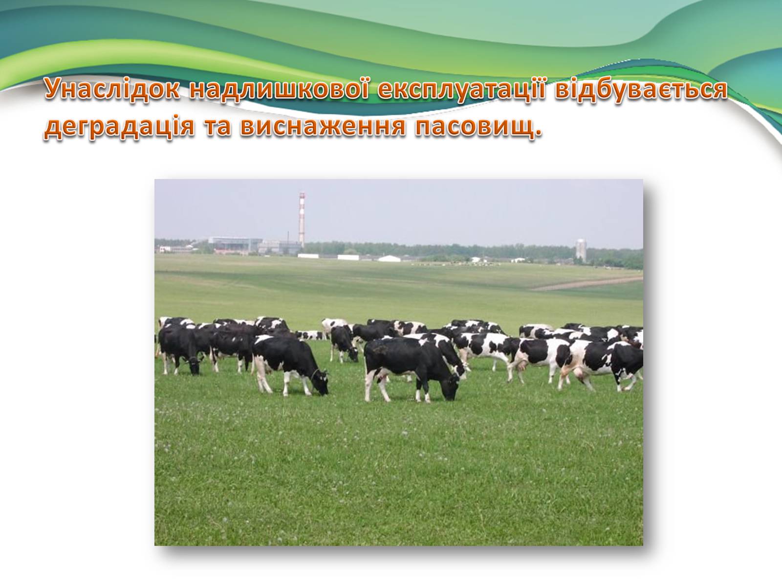 Презентація на тему «Деградація природи» (варіант 3) - Слайд #8