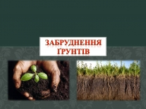 Презентація на тему «Забруднення Ґрунтів» (варіант 2)