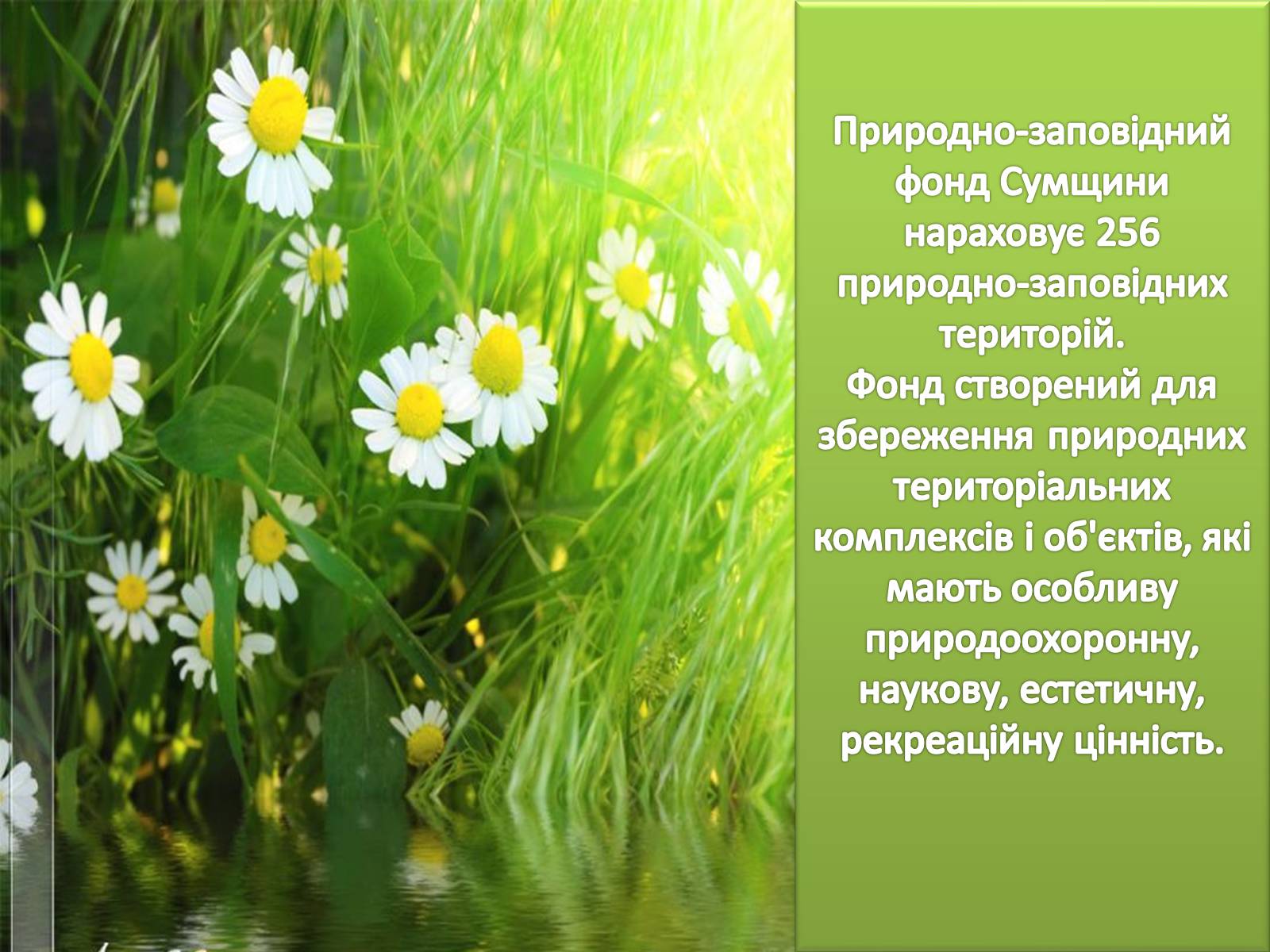 Презентація на тему «Заповідні місця та охороняємі об&#8217;єкти Сумщини» - Слайд #2