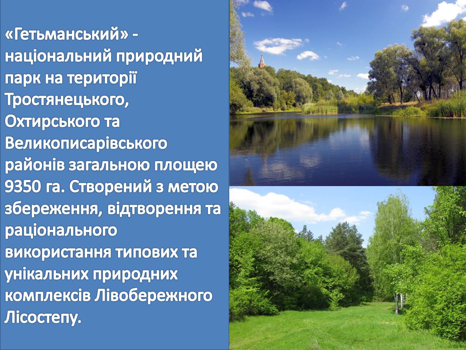 Презентація на тему «Заповідні місця та охороняємі об&#8217;єкти Сумщини» - Слайд #4